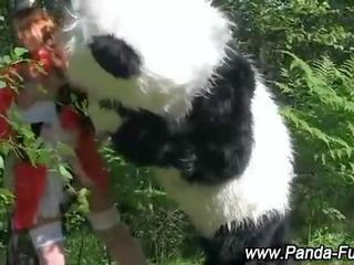 Plush panda fairytale 為 紅 騎術 兜帽